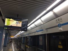 -大龙山(地铁站)