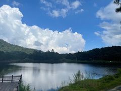 -海南热带雨林国家公园吊罗山景区