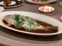 清蒸青衣鱼-皇朝会.经典传统粤菜(外滩店)