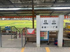 -红山村
