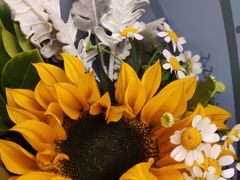 -屋头串串(新街里店)