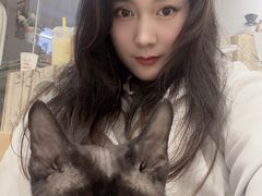 -楼上猫咖(罗湖店)