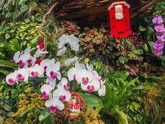 -北京植物园-展览温室