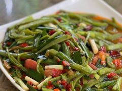 仙人掌-晓雯人家