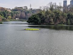 -重庆彩云湖湿地公园