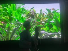 -现代汽车文化中心 Hyundai Motorstudio Beijing