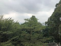 -龙头山森林公园·停车场
