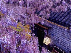 -老门东历史文化街区