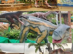 -海花岛旅游度假区