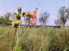 -龙美术馆西岸馆-停车场