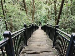 -杭州半山国家森林公园