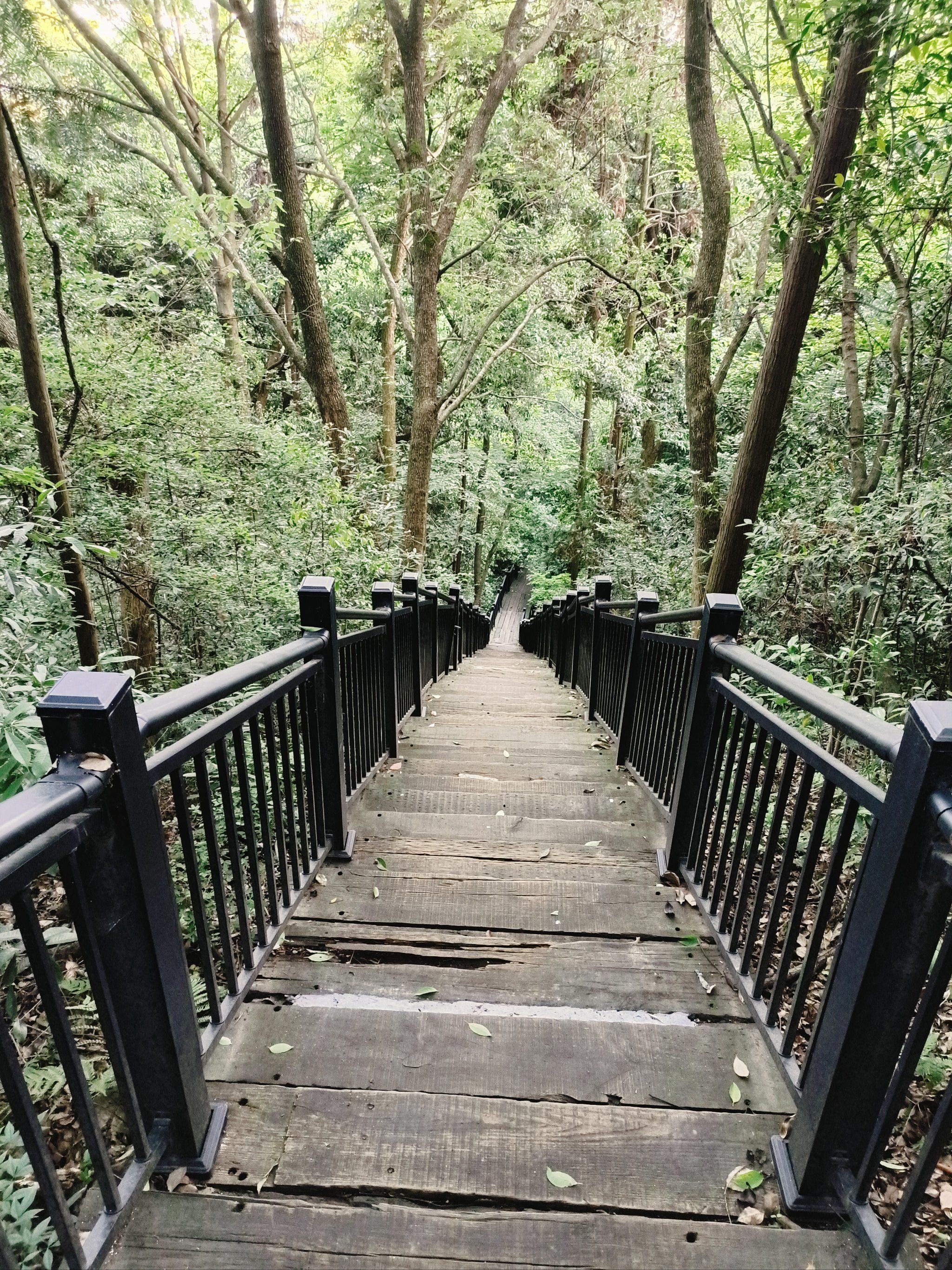 推荐一个人少景好的好去处