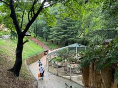 -青岛森林野生动物世界