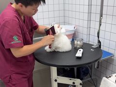 -瑞派康怡24h宠物医院·犬猫医疗中心·微创绝育(瑞景分院)