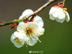 -欧歌堡KTV PARTY(万濠城店)