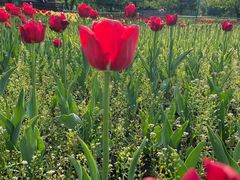 -长春公园(普阳街道)