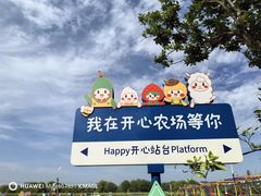 -苏州太湖西山岛开心农场