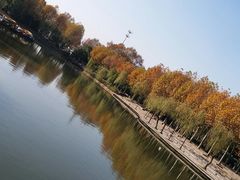 -泰州凤城河风景区-泰山公园