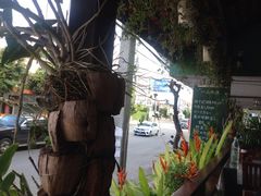 清迈云南饭店-云南餐厅