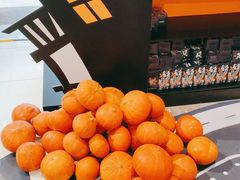 -远洋未来广场(育慧北路店)