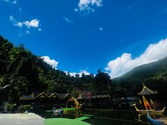 -野象谷景区