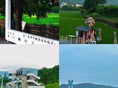 -阿露佳·舌尖上的安吉菜