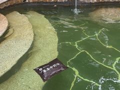 -郑州银基黄帝宫御温泉
