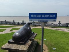 -观潮胜地公园