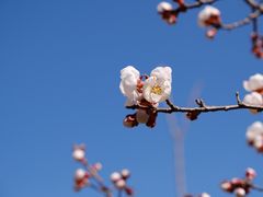 -北京金海湖景区