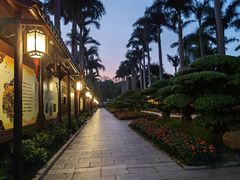 -金花茶公园