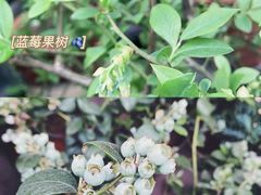 -嘉悦汗蒸时代(曙光路店)