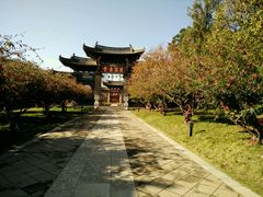 -建水文庙