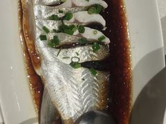 -金美华轩(东方路齐鲁店)