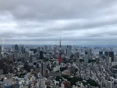 -六本木新城展望台(东京城市景观)