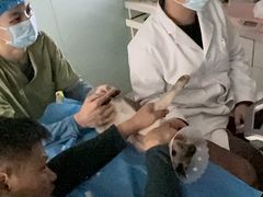 -达爱动物医院·犬猫分区·CT·复杂眼科(远洋山水分院)