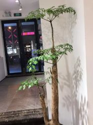 -印·Style造型创始店