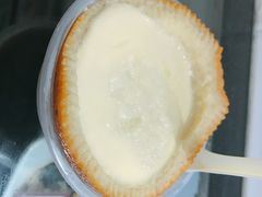 雪燕香橙炖蛋-无影脚佛山陈氏盲公丸始创店(飞鸿街店)