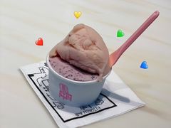 -红楼HONGLOU Gelato(淮海中路店)