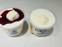 -西琳姑娘·新疆冰淇淋酸奶茶(南开大悦城店)