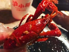 -沪小胖小龙虾(淮海中路旗舰店)
