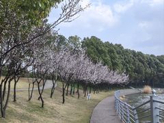 -美兰湖景区