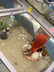 -meland亲子乐园•派对•研学(苏州悠方购物中心店)