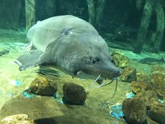 -华夏文旅海洋公园