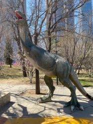 -大望京儿童游乐场