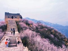 -龙泉峪长城