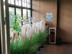 -野妹火锅(龙岗店)