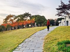 -楚望台遗址公园