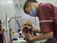 -宠物家(角门东店)