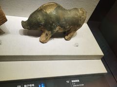 -四川大学博物馆
