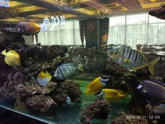 -超级厨房概念餐厅(奥园广场店)